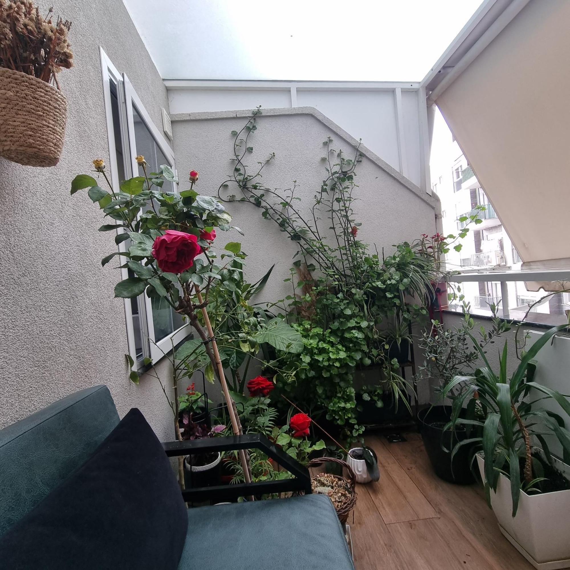 Emeraldapartament Apartment *